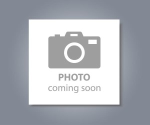 Dowsil TC-2035 0,9 KG